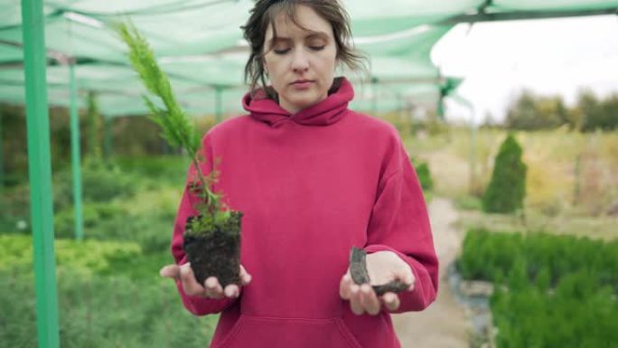 美丽的年轻女子花店-企业主拿着一棵正在生长的绿色植物和一根干燥的树枝。生物圈中的生与死。生态选择概念