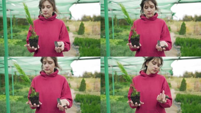 美丽的年轻女子花店-企业主拿着一棵正在生长的绿色植物和一根干燥的树枝。生物圈中的生与死。生态选择概念