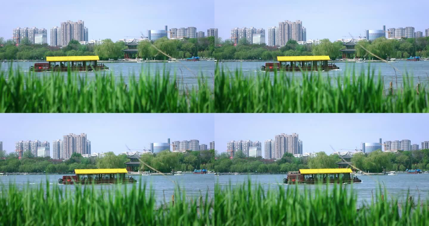 【正版素材】济南大明湖自然蓝天绿草