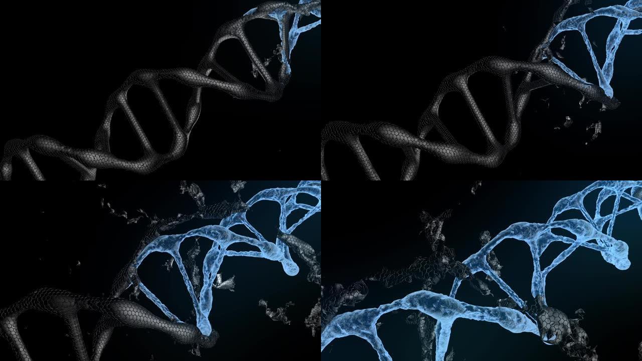 蓝色DNA链的3D动画。黑色dna膜破裂。