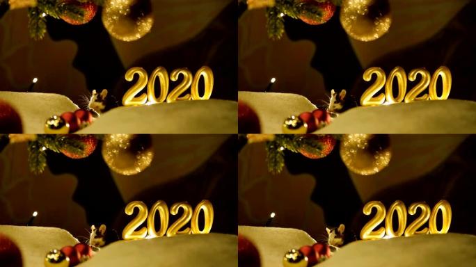 两只好奇的小老鼠。新2020年的象征。