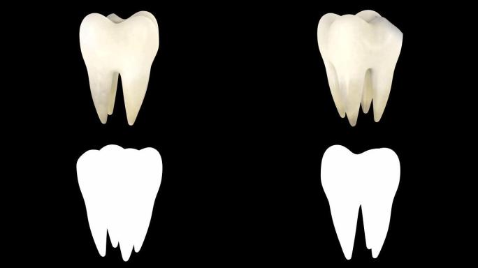 带有alpha层的蛀牙的3D动画