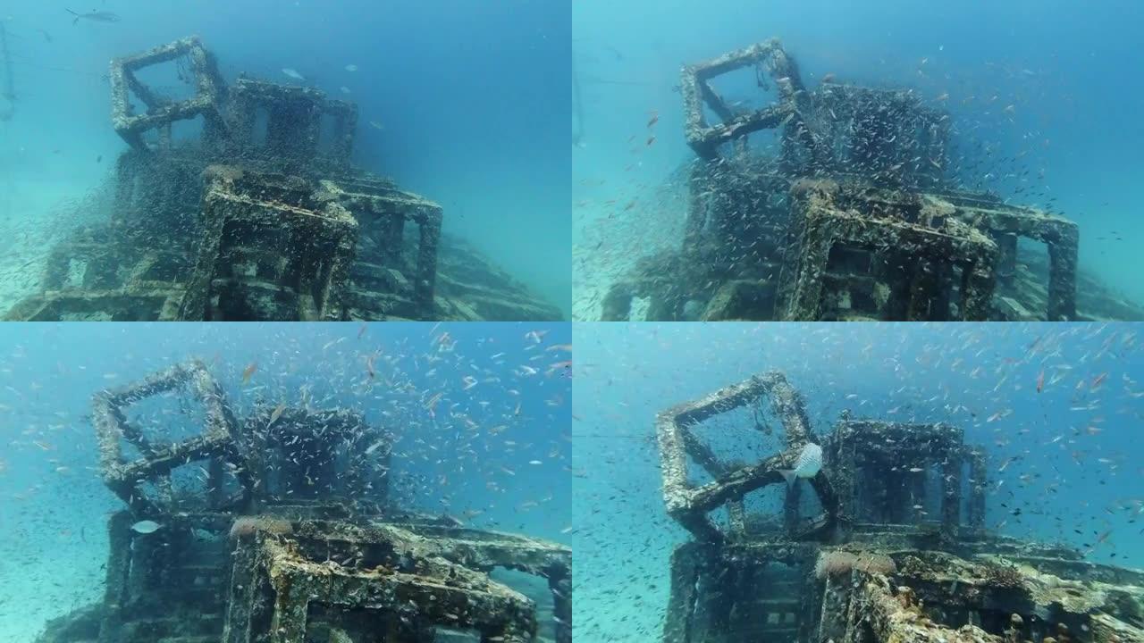 水下人制结构环境保育工程人工礁石珊瑚苗圃被热带鱼包围