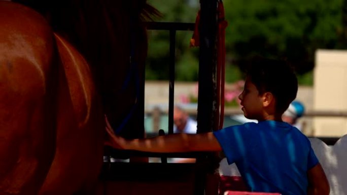 男孩抚摸一匹棕色马的驼背