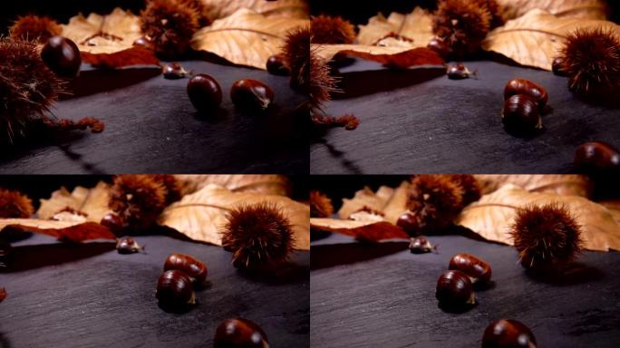 新鲜成熟栗子落在黑色表面上
