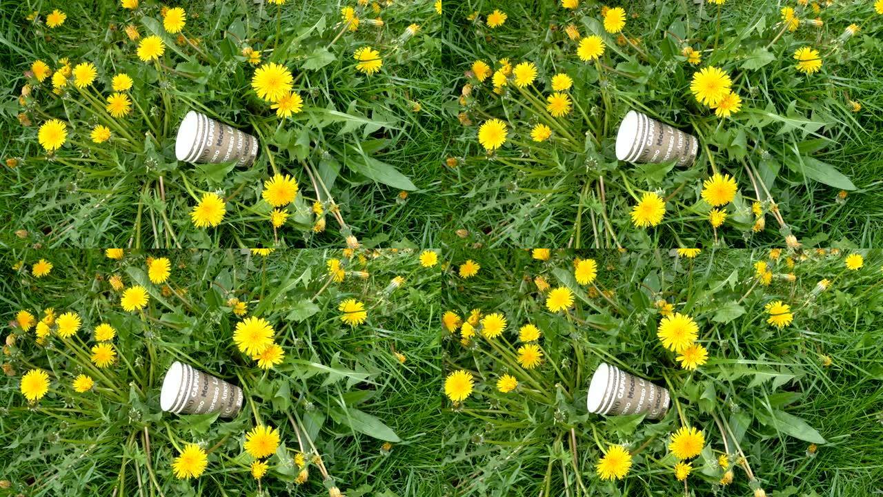 草地上的三个纸杯，上面种着黄色的雏菊花