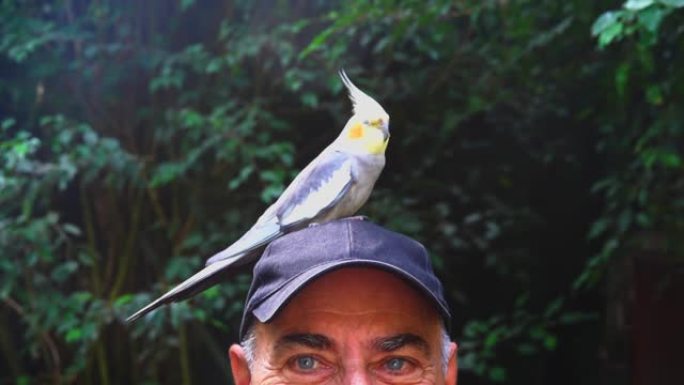 一个戴着帽子的男人的眼睛，头上戴着一只鹦鹉。