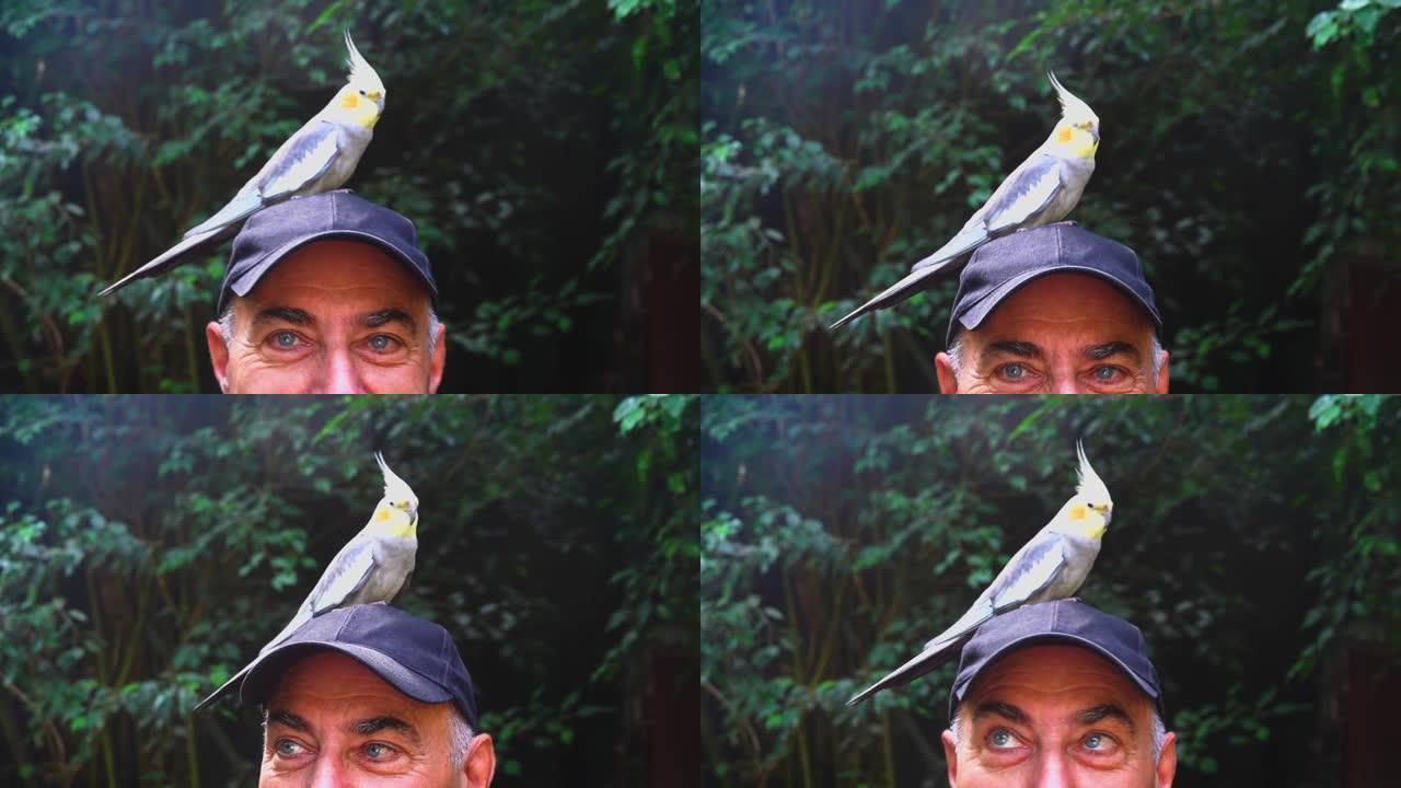 一个戴着帽子的男人的眼睛，头上戴着一只鹦鹉。