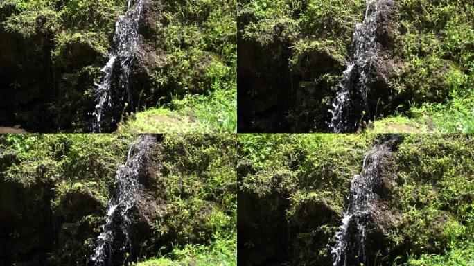 潺潺的小溪或小溪，浸湿的岩石和阶梯状的小瀑布