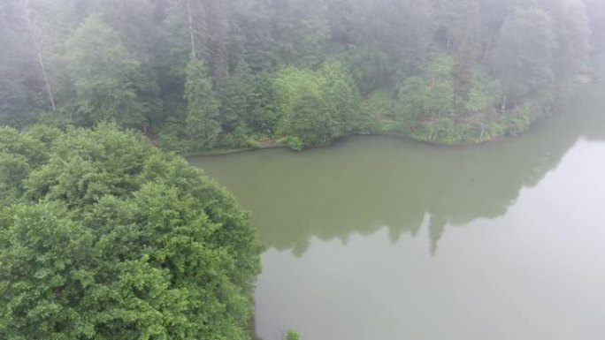 森林湖的鸟瞰图。