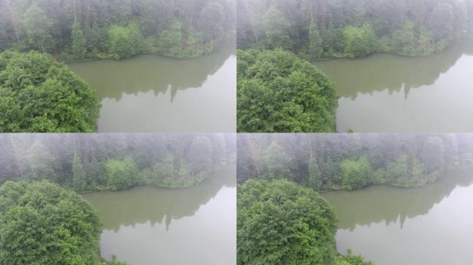 森林湖的鸟瞰图。