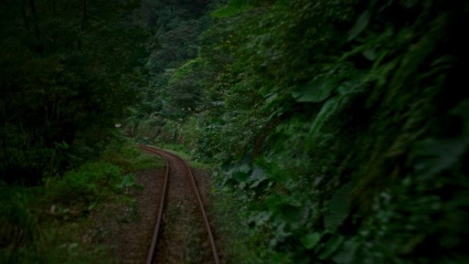 4K在丛林和山区的铁路列车。台湾乡村之旅