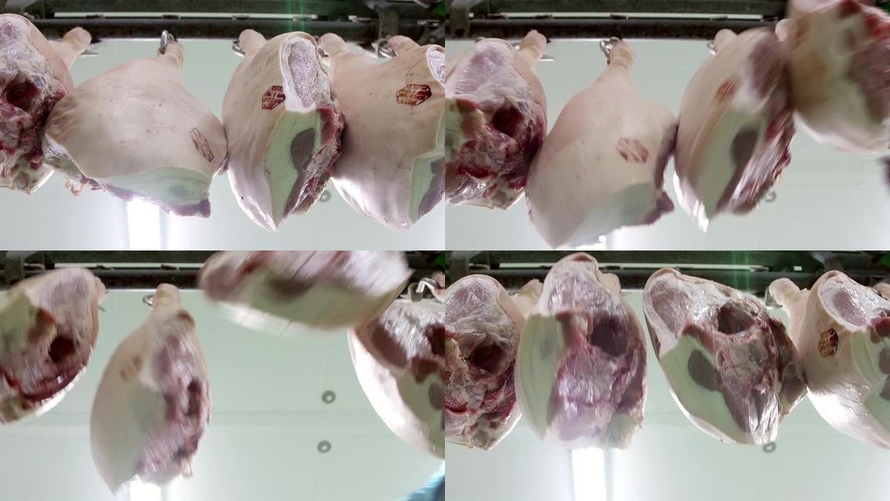 猪肉腿挂在肉类加工厂的钩子上
