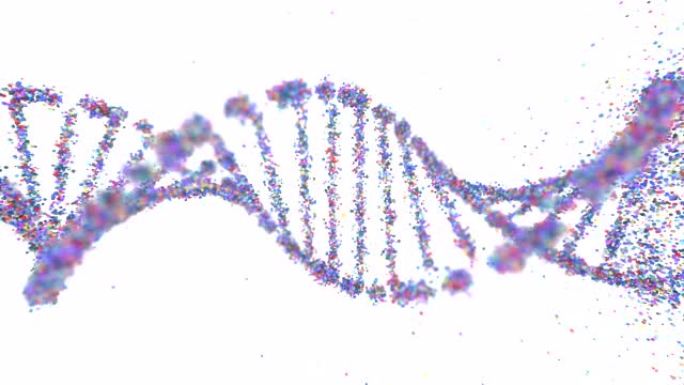 氧化DNA损伤遗传性疾病分子结构