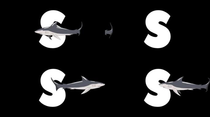 字母S和前景上的鲨鱼