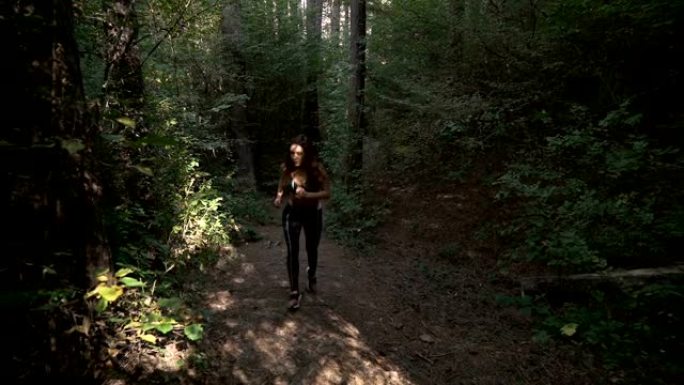前视图，健康的慢动作镜头，早上在森林里奔跑的棕色长发的年轻女子