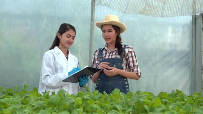 亚洲女植物学家检查生菜或绿色oad的状况并检查酸碱度。水。4k慢动作。