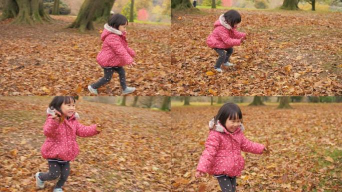 在北爱尔兰冬季森林公园玩耍的蹒跚学步的女孩