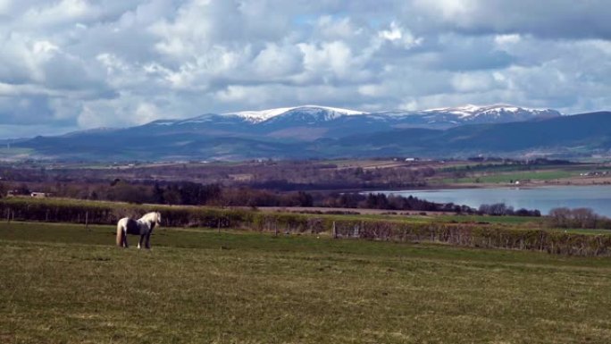 本·威维斯·芒罗山 (Ben Wyvis Munro Mountain) 在英国苏格兰高地野外骑马