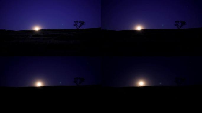 月亮在湛蓝的天空中升起。晚上，黑暗的开始。满月。一棵孤树在山上，靠着星空。