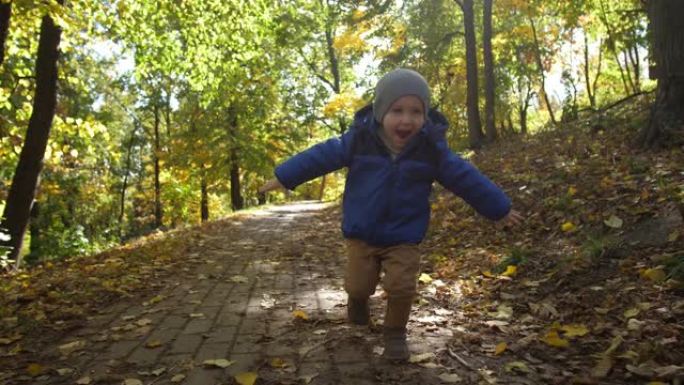 在公园里奔跑的快乐蹒跚学步的男孩的肖像