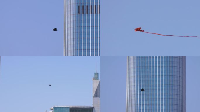 【4K】北京国贸天空的风筝