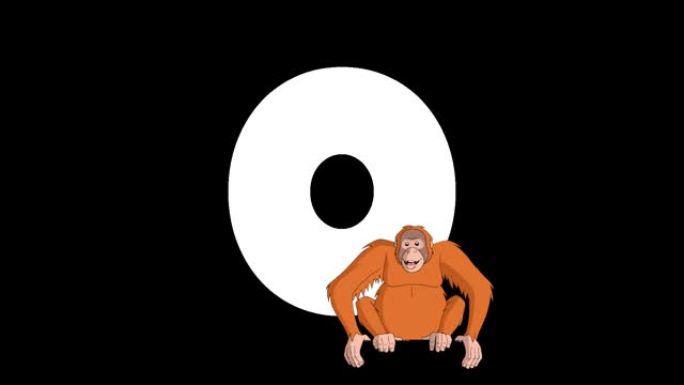 字母O和前景上的猩猩