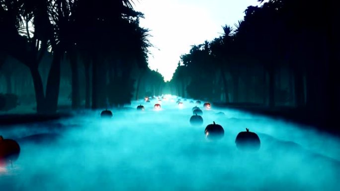 发光的南瓜，黑暗的森林，万圣节庆典。夜景充满神秘的雾气，在森林里的一个雾蒙蒙的夜晚，发出可怕的南瓜。