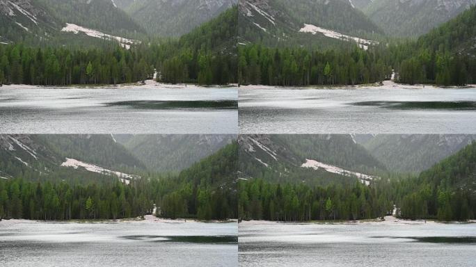 布雷斯湖的树木和银水景观