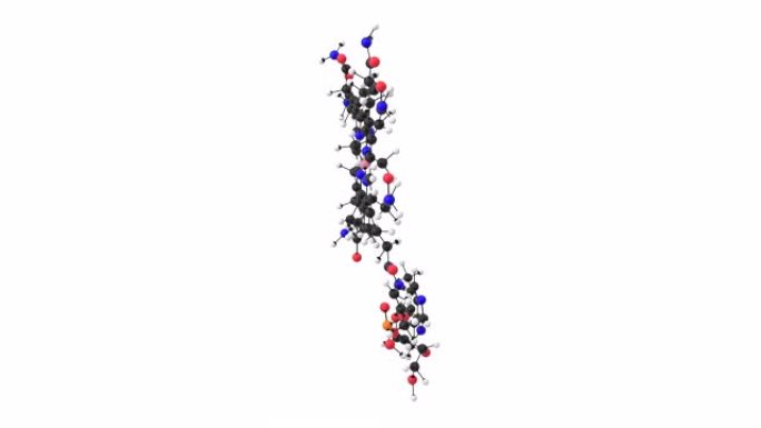 具有alpha层的维生素B12分子的3D动画