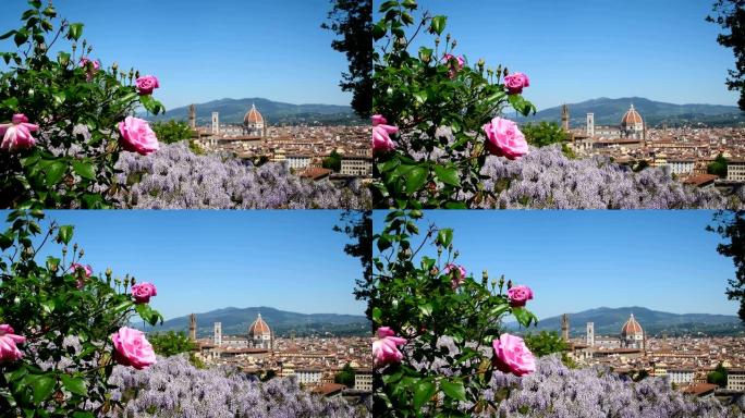 从米开朗基罗广场附近的花园里可以看到佛罗伦萨的圣玛丽亚大教堂，前景是盛开的紫色紫藤和粉红色玫瑰。意大