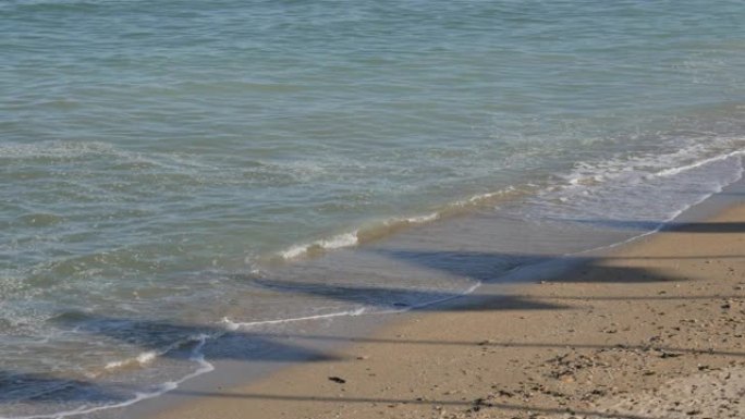 法国诺曼底剑海滩白天与旗帜的剪影在沙滩4K
