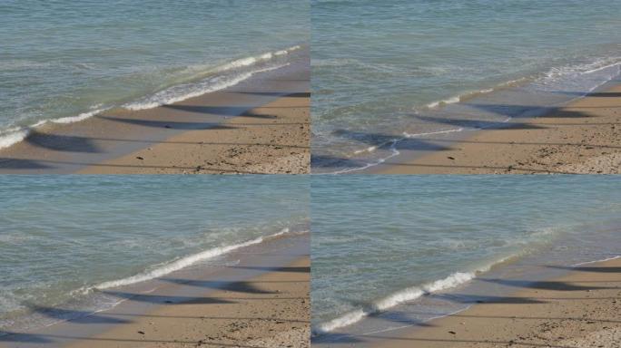法国诺曼底剑海滩白天与旗帜的剪影在沙滩4K