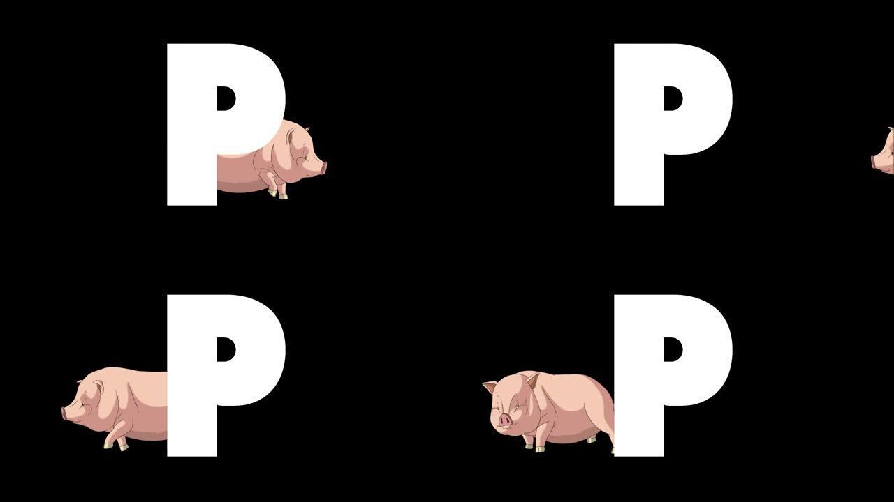 背景上的字母P和猪