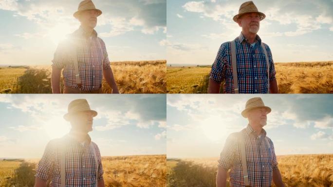 白种人的肖像照片的高级男子，田野的主人，在阳光下站在麦金田野中间的帽子上。