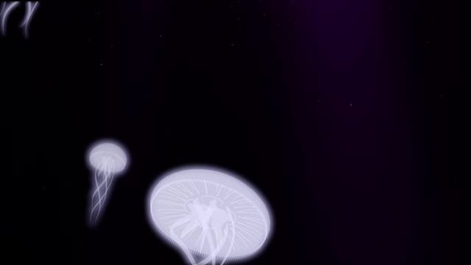 海洋3d动画循环中发光的水母