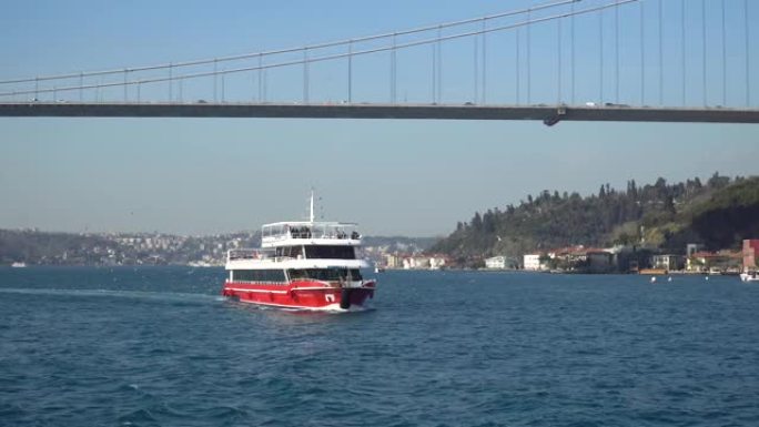 博斯普鲁斯旅游游船与游客在博斯普鲁斯桥下与海鸥，伊斯坦布尔，土耳其