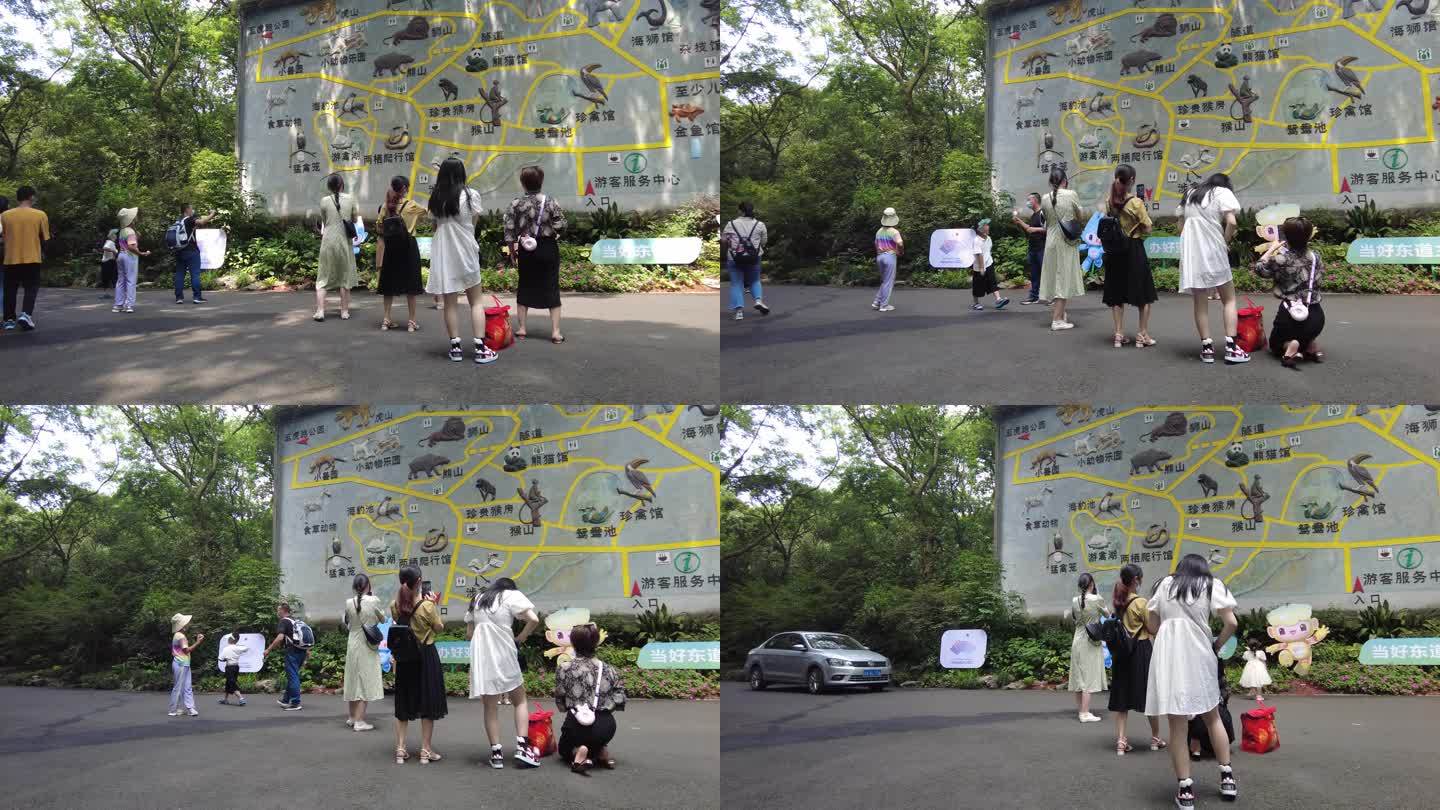 杭州动物园游客参观游玩