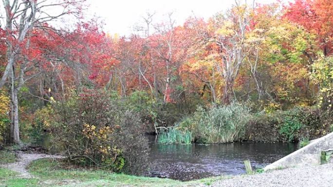 Southards pond的Carlls河，五颜六色的树木环绕着流动的水