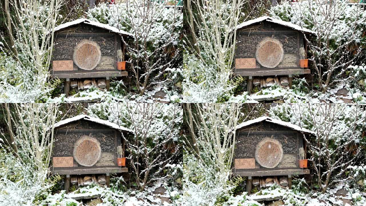 冬季野生蜂虫酒店。花园里下雪。