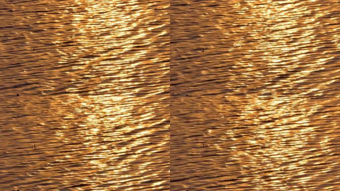 阳光在水上的反射。