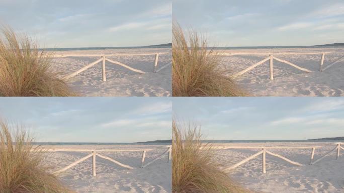 白色沙滩上的木栅栏，旁边是一丛马兰草(沙坑冬青)，用平面颜色拍摄