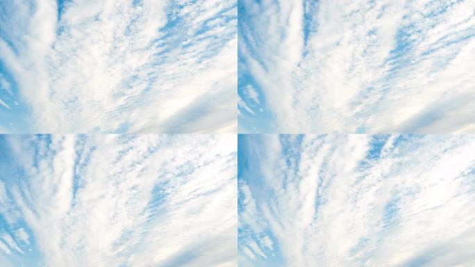 蓝色的天空有一个美丽的白云团，带有空间的副本。鸟儿向南飞