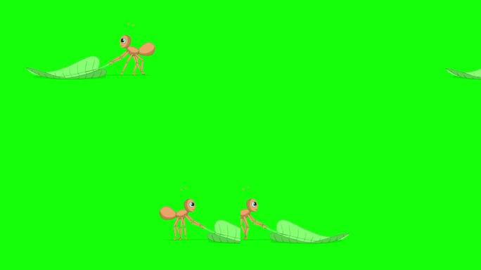 蚂蚁带着一片绿叶