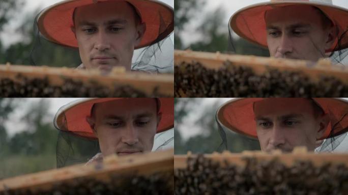 养蜂人的肖像看着保护性野兽中的蜂窝