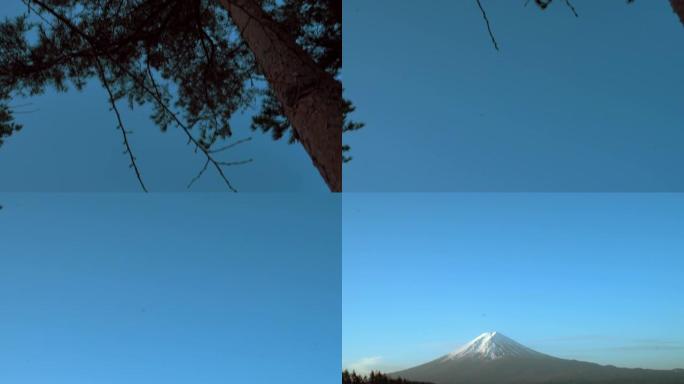 河口湖富士山的顶级晨景