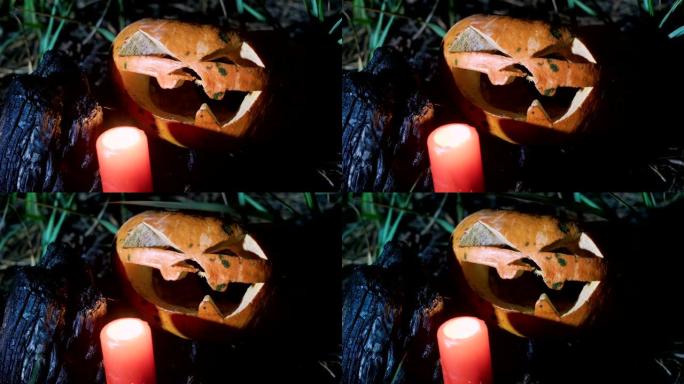 为万圣节制作的南瓜灯特写镜头。树桩上的一个南瓜。4K