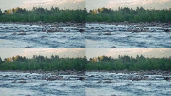 在夏天的傍晚，快速的山河溪流流过岩石巨石，背景模糊，常绿森林和山脊，雪帽和云。哈萨克斯坦阿尔泰山脉。
