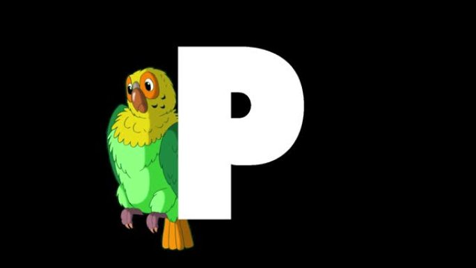 背景上的字母P和鹦鹉