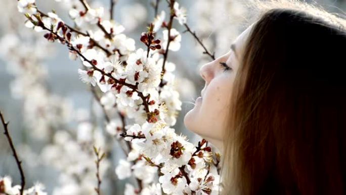 年轻的女人呼吸着盛开的杏花的香气。晴天关闭